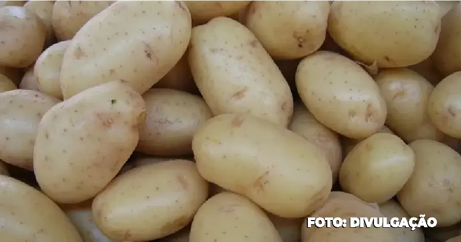 Batata, Leite e Café Impactam na Inflação de Junho, Mostra IPCA