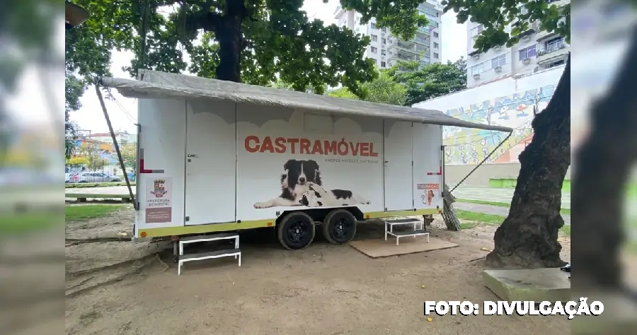 Castramóvel Chega em Pendotiba com Castração para Cães e Gatos