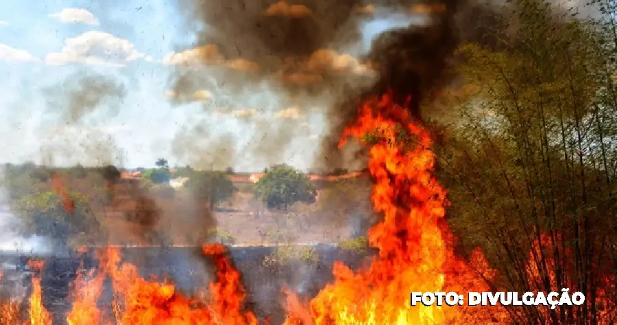 Prisões por Incêndios Florestais no Interior de São Paulo Aumentam