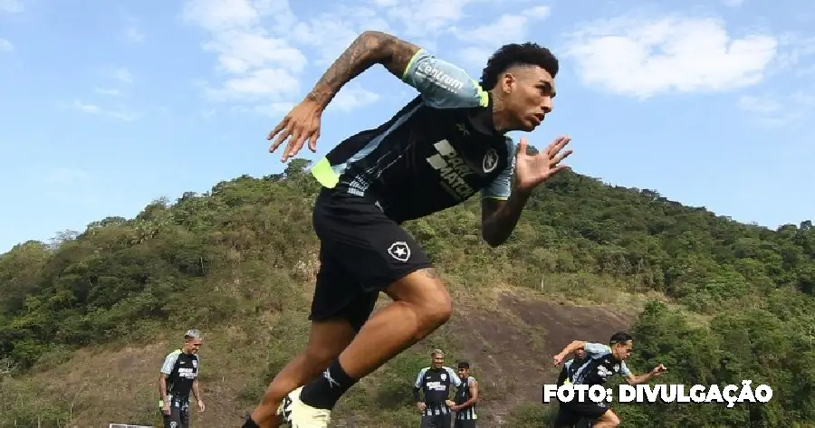 Botafogo busca vaga na semifinal da Libertadores no Morumbi