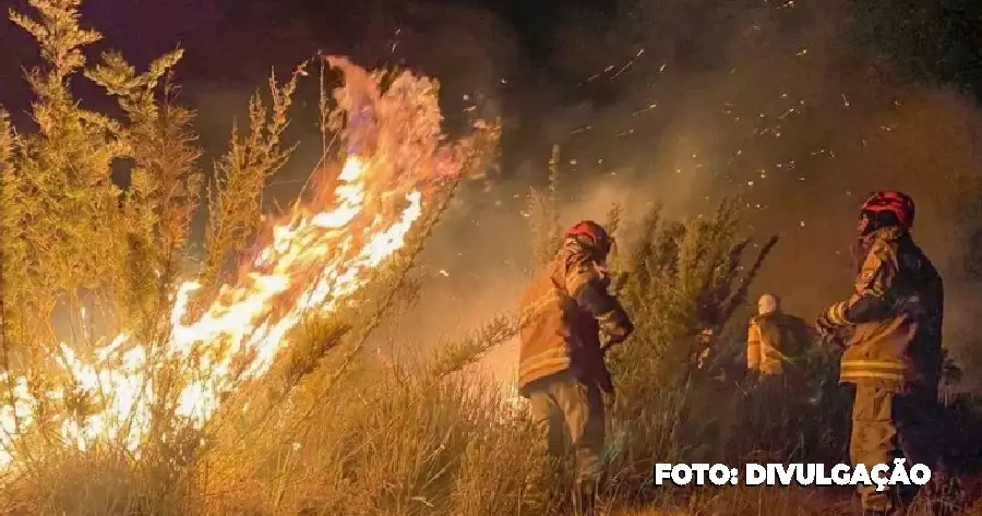 Queimadas no Rio de Janeiro Maior Número Desde 2017