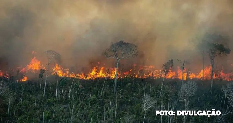 Terras indígenas e fazendas concentram área queimada em 2024