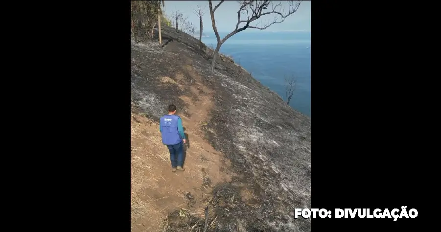 Voluntários Necessários para Recuperação do Morro das Andorinhas