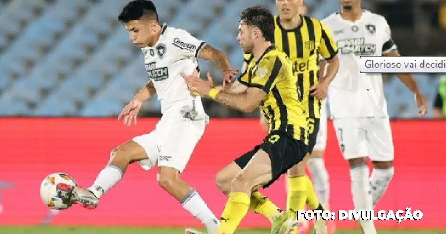 Botafogo assegura vaga na final da Libertadores