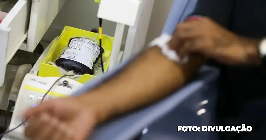 Dia Nacional do Doador de Sangue: A Importância de Doar em Novembro